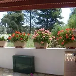 Vila Amelia