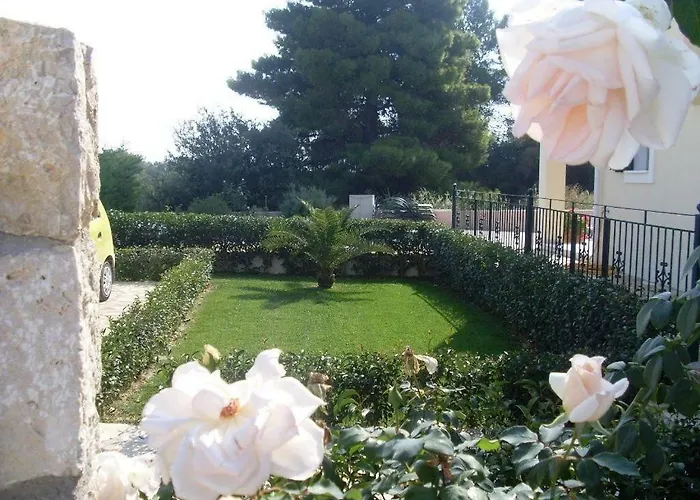 Amelia * Μεταξάτα